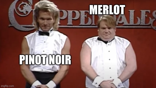 MERLOT; PINOT NOIR | made w/ Imgflip meme maker