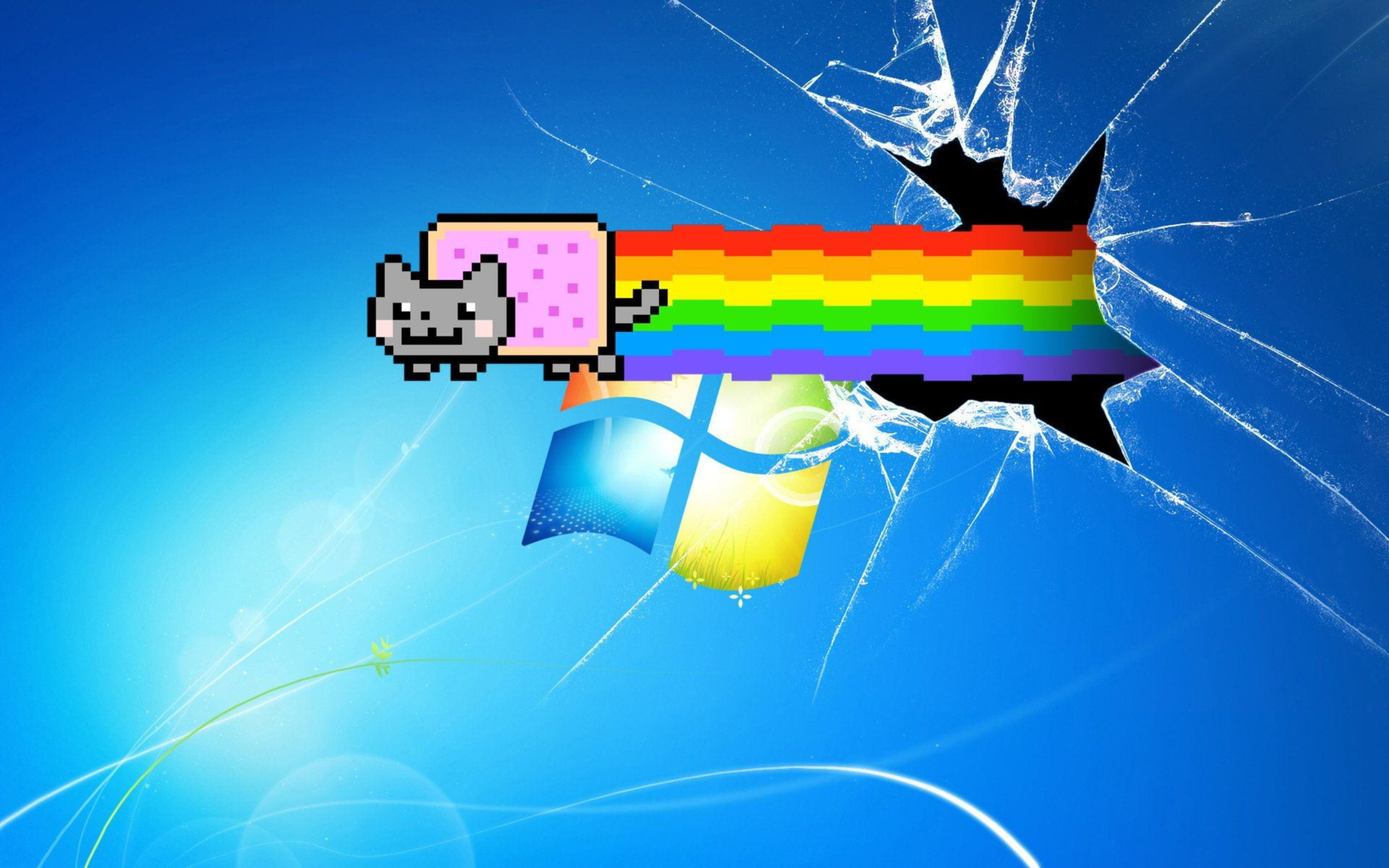 nyan cat shadders Blank Meme Template