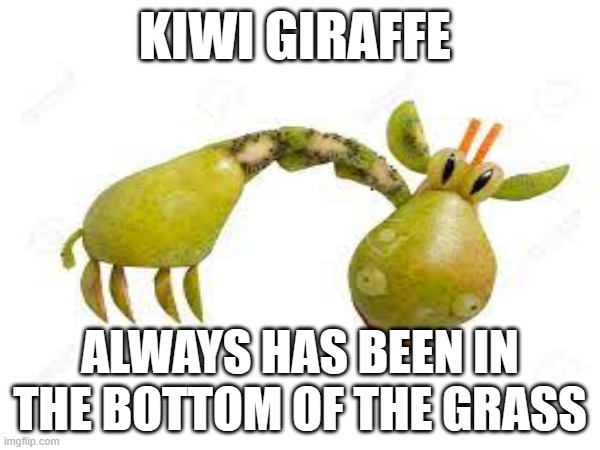 Kiwi Giraffe | KIWI GIRAFFE; ALWAYS HAS BEEN IN THE BOTTOM OF THE GRASS | image tagged in fun,memes,funny giraffe | made w/ Imgflip meme maker