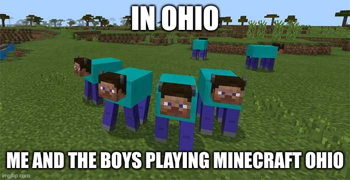 me and the boys | IN OHIO; ME AND THE BOYS PLAYING MINECRAFT OHIO | image tagged in me and the boys | made w/ Imgflip meme maker