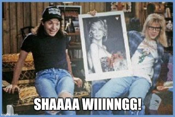 Shwing! | SHAAAA WIIINNGG! | image tagged in shwing | made w/ Imgflip meme maker