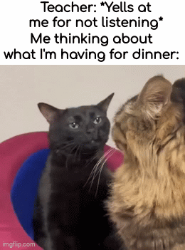 me irl | Teacher: *Yells at me for not listening*; Me thinking about what I'm having for dinner: | image tagged in gifs,dive | made w/ Imgflip video-to-gif maker