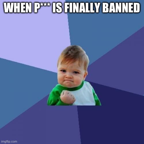 P*** is NOT free speech! | WHEN P*** IS FINALLY BANNED | image tagged in memes,success kid | made w/ Imgflip meme maker