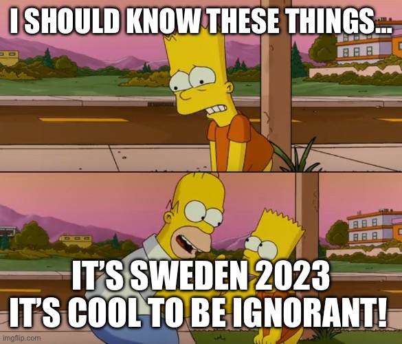 Simpsons so far | I SHOULD KNOW THESE THINGS…; IT’S SWEDEN 2023 IT’S COOL TO BE IGNORANT! | image tagged in simpsons so far | made w/ Imgflip meme maker