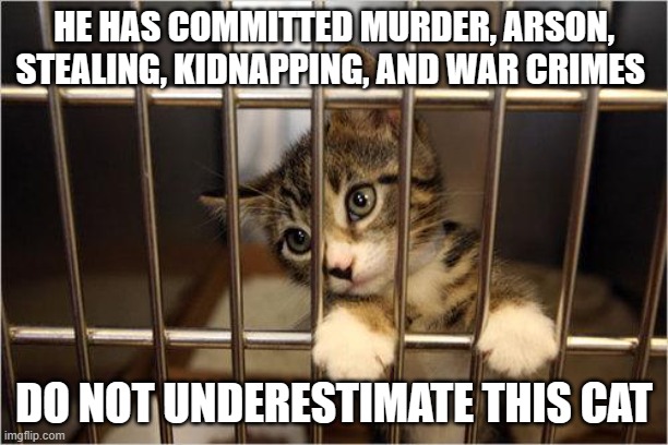 cat jail | HE HAS COMMITTED MURDER, ARSON, STEALING, KIDNAPPING, AND WAR CRIMES; DO NOT UNDERESTIMATE THIS CAT | image tagged in cat jail | made w/ Imgflip meme maker
