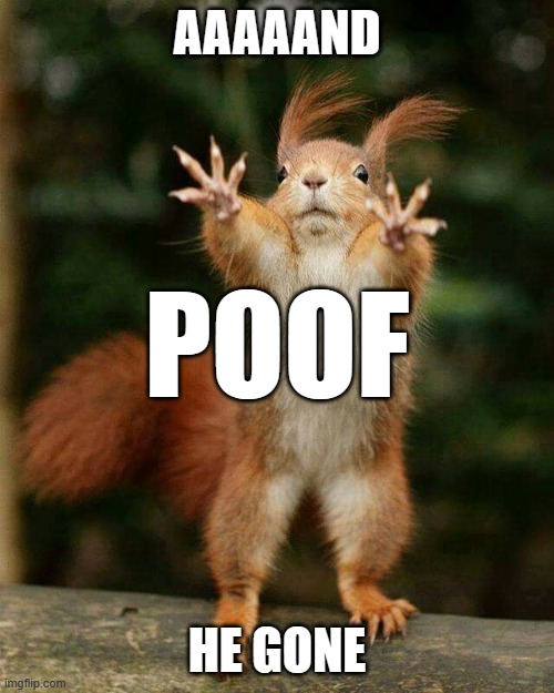 Squirrel poof | AAAAAND; POOF; HE GONE | image tagged in squirrel poof | made w/ Imgflip meme maker