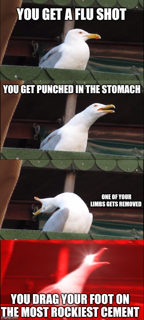 Pain rating | YOU GET A FLU SHOT; YOU GET PUNCHED IN THE STOMACH; ONE OF YOUR LIMBS GETS REMOVED; YOU DRAG YOUR FOOT ON THE MOST ROCKIEST CEMENT | image tagged in memes,inhaling seagull,pain,uncomfortable,in real life | made w/ Imgflip meme maker