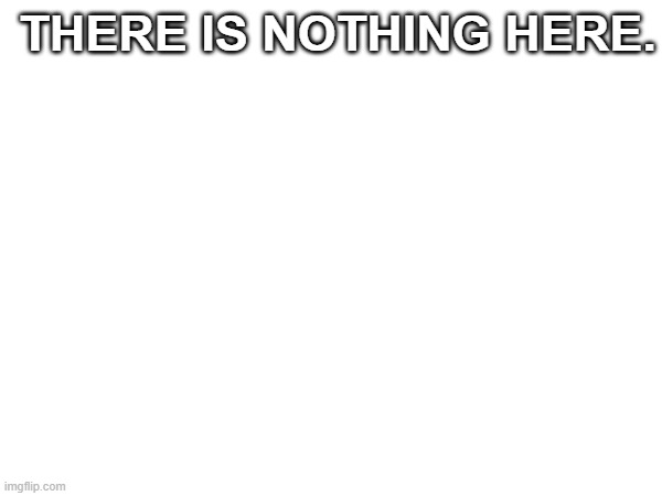 there really is nothing. | THERE IS NOTHING HERE. | image tagged in funny,fun,funny memes | made w/ Imgflip meme maker