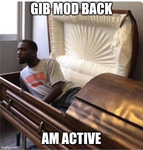 Give mod | GIB MOD BACK; AM ACTIVE | image tagged in back from the dead | made w/ Imgflip meme maker