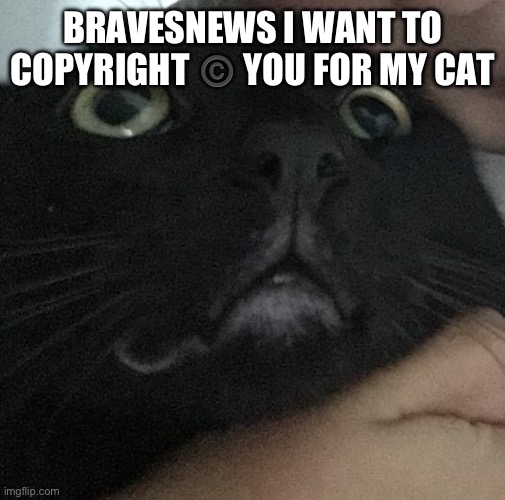 ©️ | BRAVESNEWS I WANT TO COPYRIGHT ©️ YOU FOR MY CAT | image tagged in scared cat | made w/ Imgflip meme maker