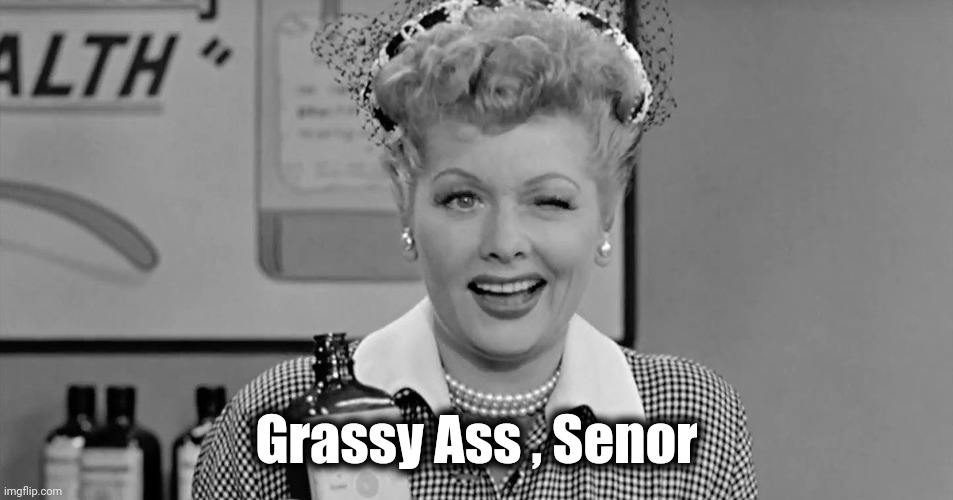 Lucille Ball | Grassy Ass , Senor | image tagged in lucille ball | made w/ Imgflip meme maker
