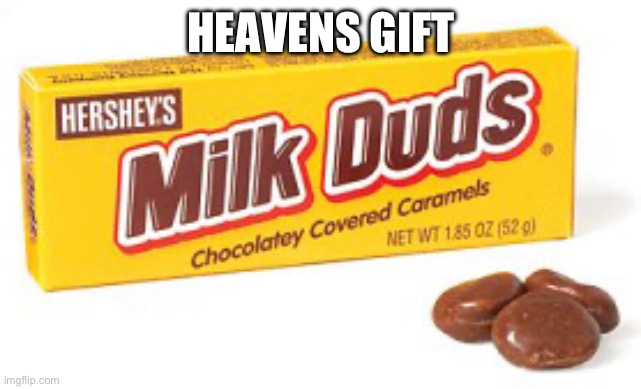 Milk dud | HEAVENS GIFT | image tagged in milk dud | made w/ Imgflip meme maker