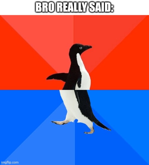 Socially Awesome Awkward Penguin Meme | BRO REALLY SAID: | image tagged in memes,socially awesome awkward penguin | made w/ Imgflip meme maker