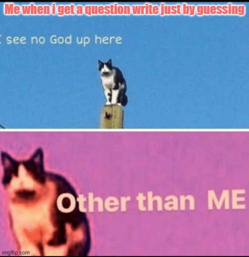 I see no god up here other than me | Me when i get a question write just by guessing | image tagged in i see no god up here other than me,guess,test,memes | made w/ Imgflip meme maker