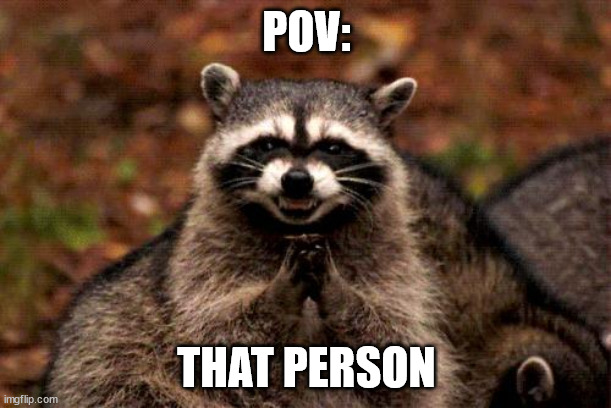 Evil Plotting Raccoon Meme | POV: THAT PERSON | image tagged in memes,evil plotting raccoon | made w/ Imgflip meme maker