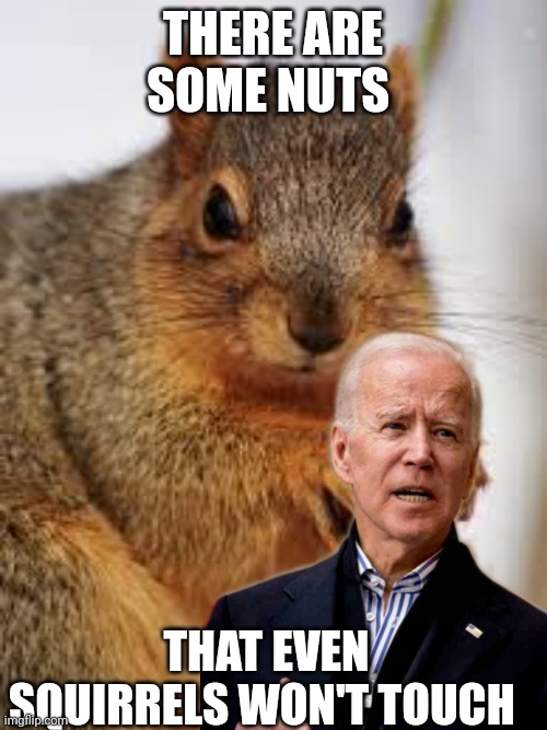 Joe biden | THERE ARE SOME NUTS; THAT EVEN SQUIRRELS WON'T TOUCH | image tagged in joe biden | made w/ Imgflip meme maker