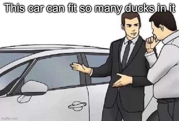 Useful feature | This car can fit so many ducks in it | image tagged in car salesman default car,ducks | made w/ Imgflip meme maker
