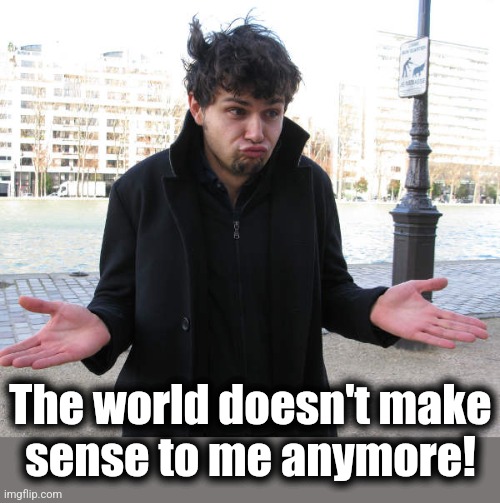 shrug | The world doesn't make
sense to me anymore! | image tagged in shrug | made w/ Imgflip meme maker