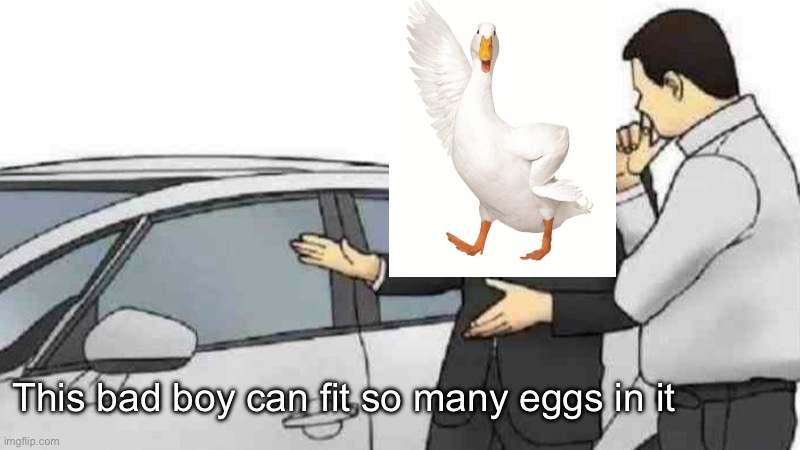 Salesman duck | This bad boy can fit so many eggs in it | image tagged in memes,car salesman slaps roof of car,eggs | made w/ Imgflip meme maker