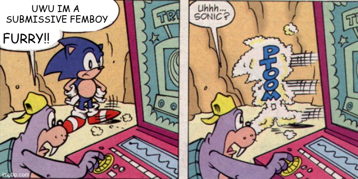 new temp | UWU IM A
 SUBMISSIVE FEMBOY; FURRY!! | image tagged in sonic disappears | made w/ Imgflip meme maker