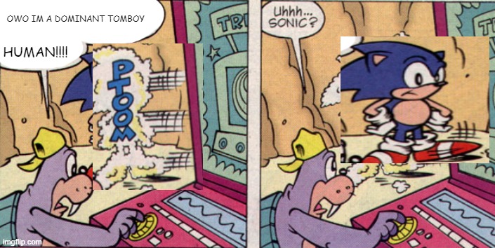 sonic disappears | OWO IM A DOMINANT TOMBOY; HUMAN!!!! | image tagged in sonic disappears | made w/ Imgflip meme maker