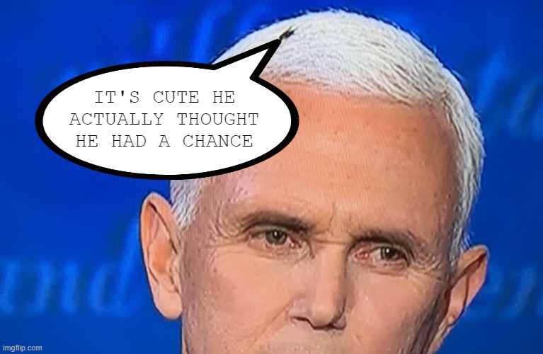 Pence Quits | IT'S CUTE HE ACTUALLY THOUGHT HE HAD A CHANCE | image tagged in pence fly | made w/ Imgflip meme maker