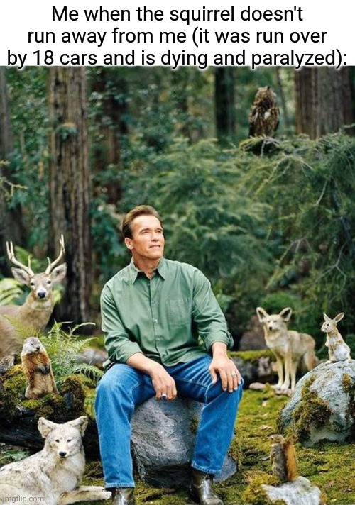 I am one with nature | Me when the squirrel doesn't run away from me (it was run over by 18 cars and is dying and paralyzed): | image tagged in arnold nature,memes | made w/ Imgflip meme maker