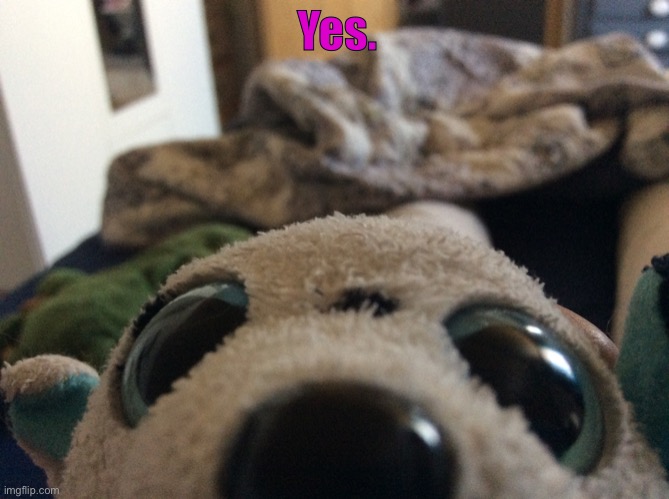 Puppy all up in yo face | Yes. | image tagged in puppy all up in yo face | made w/ Imgflip meme maker