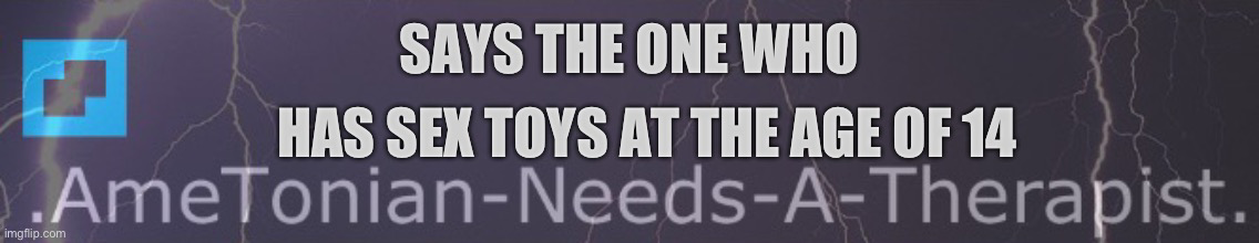 Says the one who has sex toys at the age of 14 Blank Meme Template