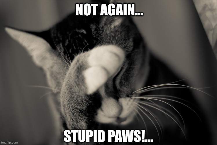 Facepalm cat | NOT AGAIN... STUPID PAWS!... | image tagged in facepalm cat | made w/ Imgflip meme maker