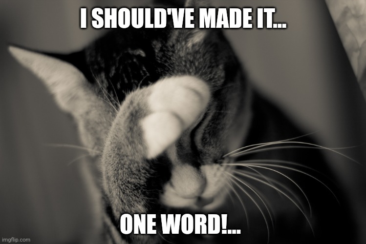 Facepalm cat | I SHOULD'VE MADE IT... ONE WORD!... | image tagged in facepalm cat | made w/ Imgflip meme maker