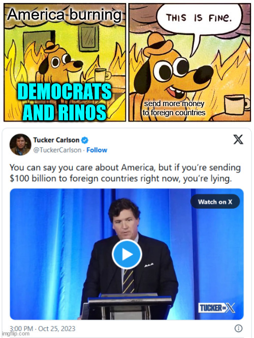 They only care about themselves... | America burning; DEMOCRATS AND RINOS; send more money to foreign countries | image tagged in memes,this is fine,democrats,rino,hate,america | made w/ Imgflip meme maker