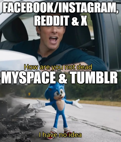 MySpace most of all, how? | FACEBOOK/INSTAGRAM, REDDIT & X; MYSPACE & TUMBLR | image tagged in sonic i have no idea | made w/ Imgflip meme maker