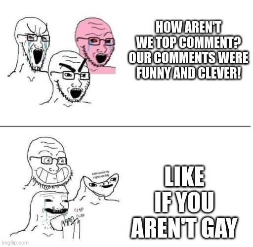 daily chat frfr | HOW AREN'T WE TOP COMMENT? OUR COMMENTS WERE FUNNY AND CLEVER! LIKE IF YOU AREN'T GAY | image tagged in wojak idiots | made w/ Imgflip meme maker