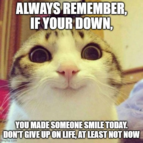 Smiling Cat | ALWAYS REMEMBER, IF YOUR DOWN, YOU MADE SOMEONE SMILE TODAY.
DON'T GIVE UP ON LIFE, AT LEAST NOT NOW | image tagged in memes,smiling cat | made w/ Imgflip meme maker