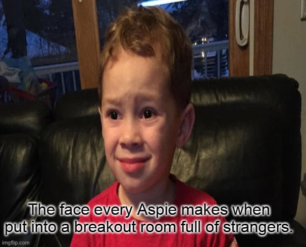 Aspie humor | The face every Aspie makes when put into a breakout room full of strangers. | image tagged in aspergers,cringe,dies from cringe,zoom,class,strangers | made w/ Imgflip meme maker