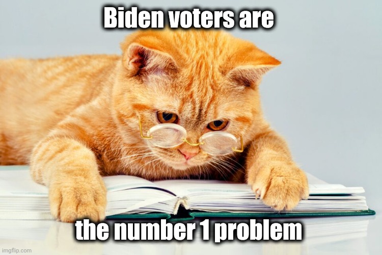 Biden voters are the number 1 problem | made w/ Imgflip meme maker