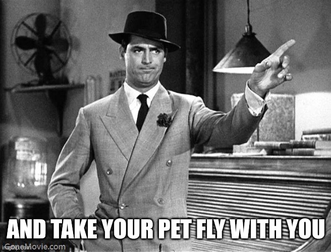 Get Out | AND TAKE YOUR PET FLY WITH YOU | image tagged in get out | made w/ Imgflip meme maker