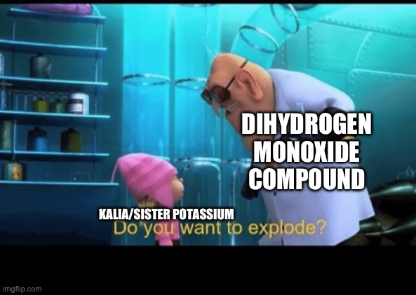 Do you want to explode | DIHYDROGEN MONOXIDE COMPOUND; KALIA/SISTER POTASSIUM | image tagged in do you want to explode,chemistry,potassium,water,dihydrogen monoxide | made w/ Imgflip meme maker