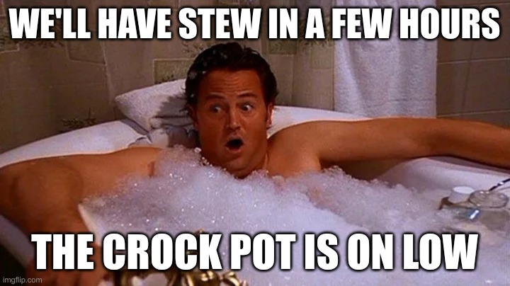 Too soon? | WE'LL HAVE STEW IN A FEW HOURS; THE CROCK POT IS ON LOW | image tagged in matthew perry,dead,friends,chandler bing | made w/ Imgflip meme maker