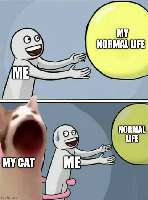 Meow | MY NORMAL LIFE; ME; NORMAL LIFE; MY CAT; ME | image tagged in memes,running away balloon | made w/ Imgflip meme maker
