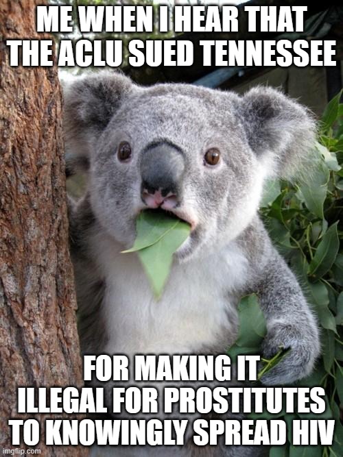 It should be a joke, but it isn't. | ME WHEN I HEAR THAT THE ACLU SUED TENNESSEE; FOR MAKING IT ILLEGAL FOR PROSTITUTES TO KNOWINGLY SPREAD HIV | image tagged in memes,surprised koala | made w/ Imgflip meme maker