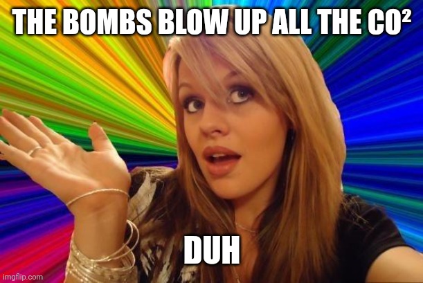Dumb Blonde Meme | THE BOMBS BLOW UP ALL THE CO² DUH | image tagged in memes,dumb blonde | made w/ Imgflip meme maker