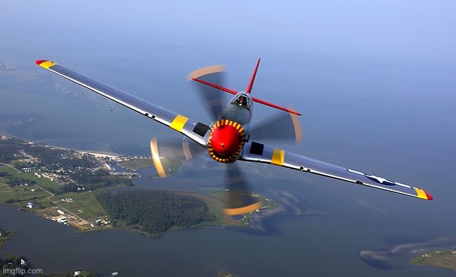 P-51 Mustang | image tagged in airplane,ww2 | made w/ Imgflip meme maker