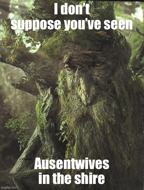 Tree Beard | I don’t suppose you’ve seen; Ausentwives in the shire | image tagged in tree beard | made w/ Imgflip meme maker
