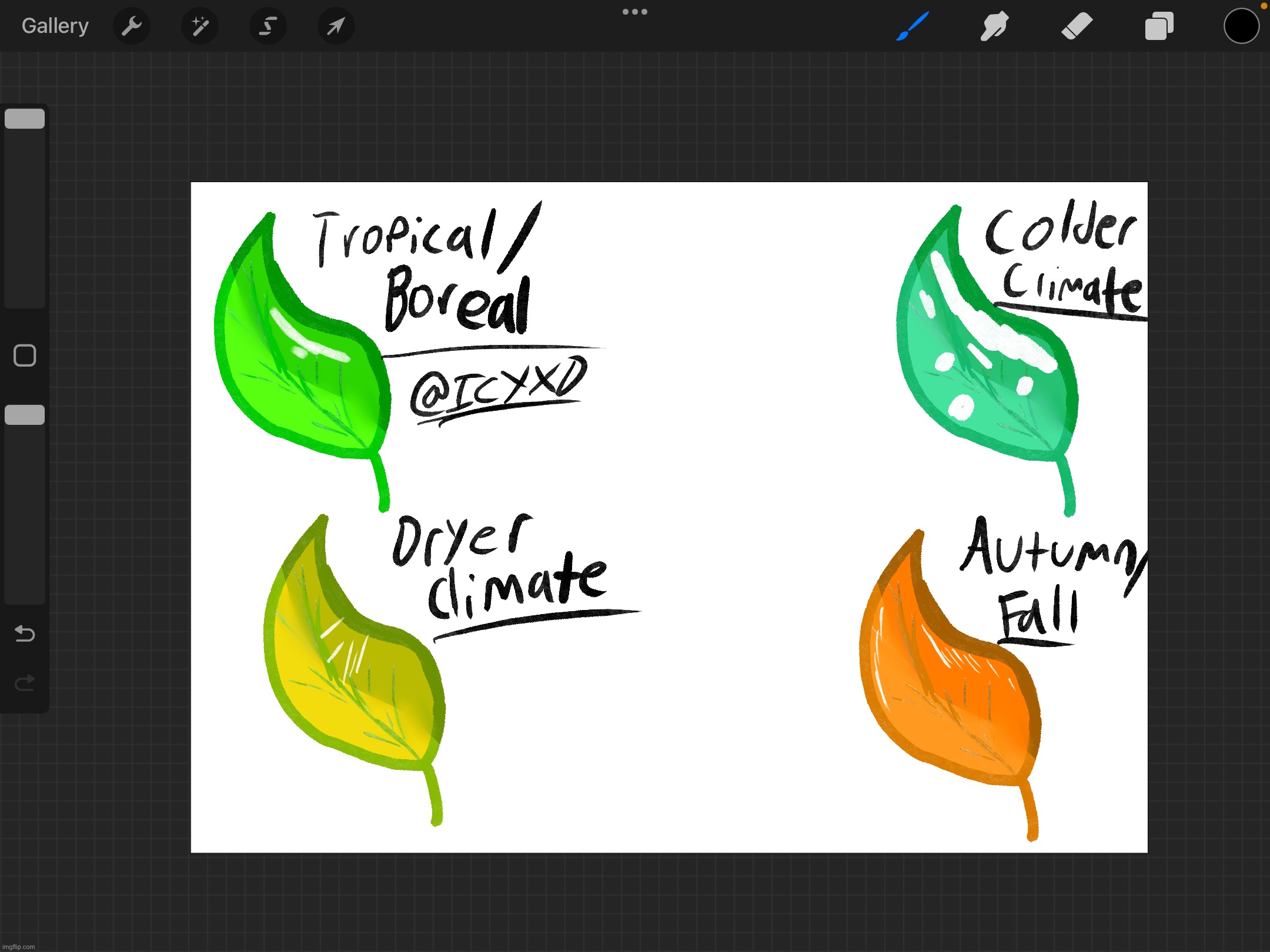 guide-for-drawing-different-types-of-leaves-imgflip