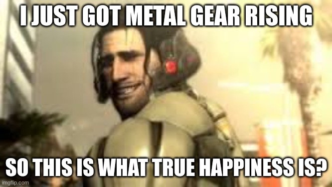 Jetstream Sam Grin | I JUST GOT METAL GEAR RISING; SO THIS IS WHAT TRUE HAPPINESS IS? | image tagged in jetstream sam grin | made w/ Imgflip meme maker