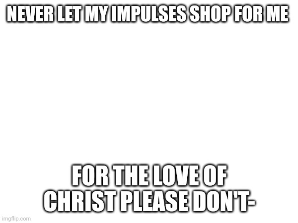 I bought a bunch of stuff and idek what imma do with it bro | NEVER LET MY IMPULSES SHOP FOR ME; FOR THE LOVE OF CHRIST PLEASE DON'T- | made w/ Imgflip meme maker