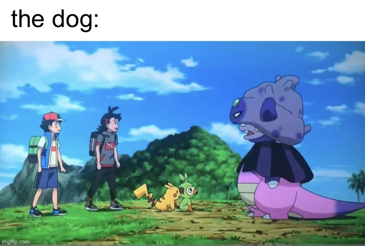 High Quality the “dog” Blank Meme Template