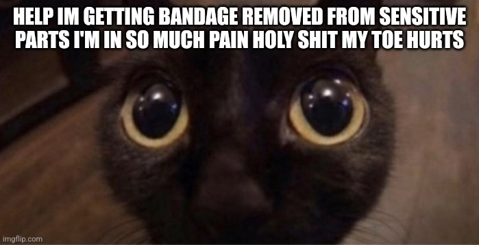 They took my toenails | HELP IM GETTING BANDAGE REMOVED FROM SENSITIVE PARTS I'M IN SO MUCH PAIN HOLY SHIT MY TOE HURTS | image tagged in skrunkly | made w/ Imgflip meme maker